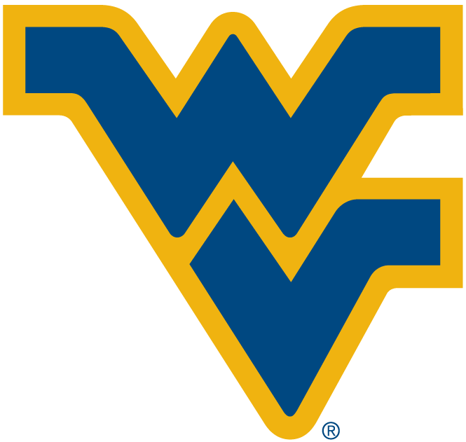 West Virginia Mountaineers 1980-Pres Alternate Logo diy fabric transfer